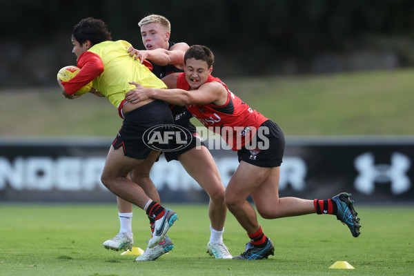 AFL 2024 Training - Essendon 090424 - A-47116960