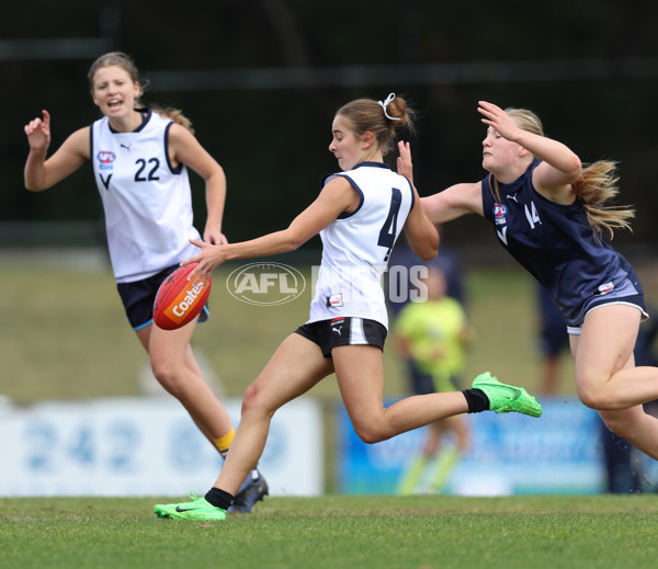 Victorian Diversity All-Stars Girls 2024 - Victoria Country v Victoria Metro - A-47119814