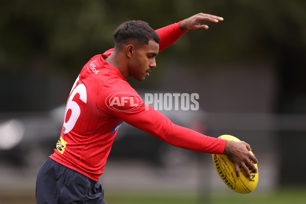 AFL 2024 Training - Melbourne 100424 - A-47120096