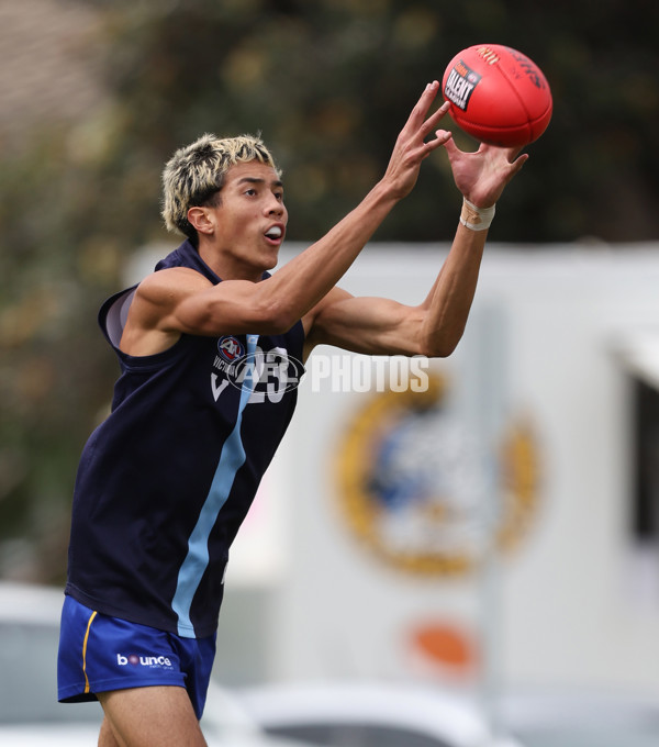 Victorian Diversity All-Stars Boys 2024 - Victoria Country v Victoria Metro - A-47122460