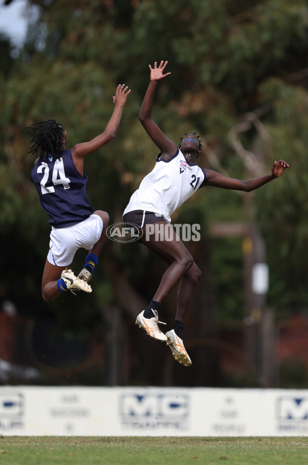 Victorian Diversity All-Stars Boys 2024 - Victoria Country v Victoria Metro - A-47122501