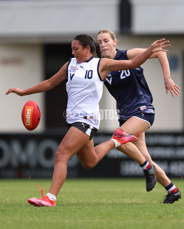 Victorian Diversity All-Stars Girls 2024 - Victoria Country v Victoria Metro - A-47123037