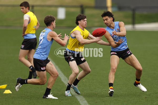 AFL 2024 Training - St Kilda 110424 - A-47125767