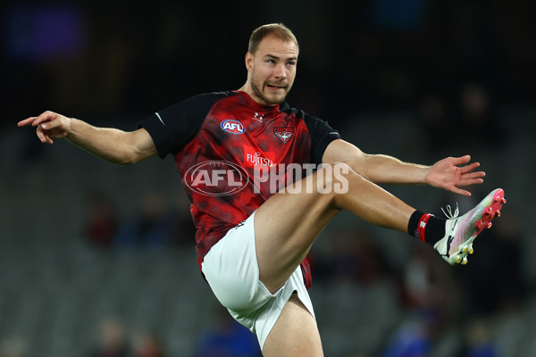 AFL 2024 Round 05 - Western Bulldogs v Essendon - A-47152782