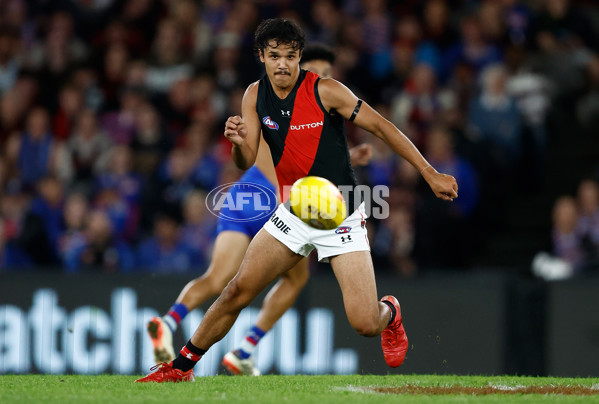 AFL 2024 Round 05 - Western Bulldogs v Essendon - A-47152798