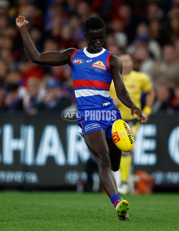 AFL 2024 Round 05 - Western Bulldogs v Essendon - A-47152819