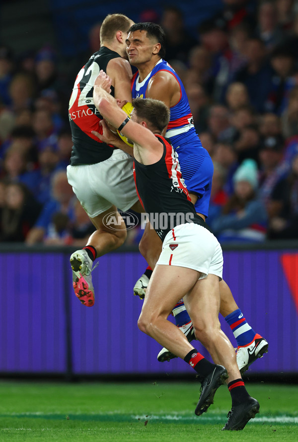 AFL 2024 Round 05 - Western Bulldogs v Essendon - A-47154106