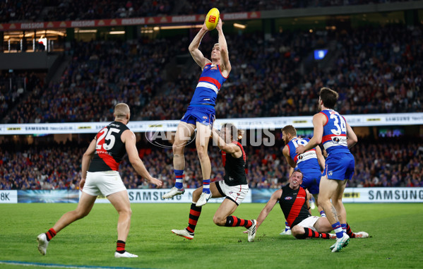 AFL 2024 Round 05 - Western Bulldogs v Essendon - A-47154111