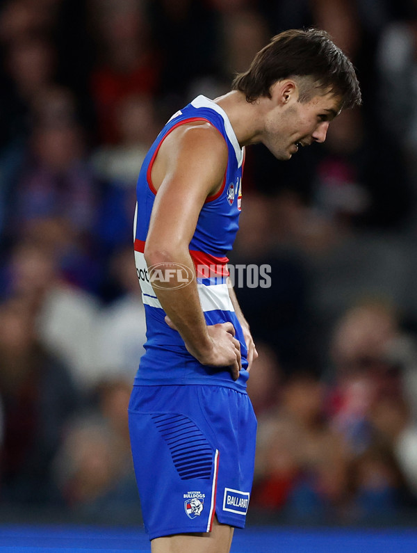 AFL 2024 Round 05 - Western Bulldogs v Essendon - A-47154116