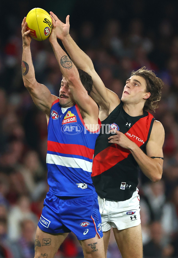 AFL 2024 Round 05 - Western Bulldogs v Essendon - A-47154119