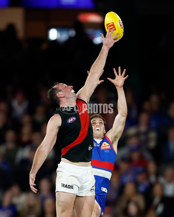 AFL 2024 Round 05 - Western Bulldogs v Essendon - A-47154135