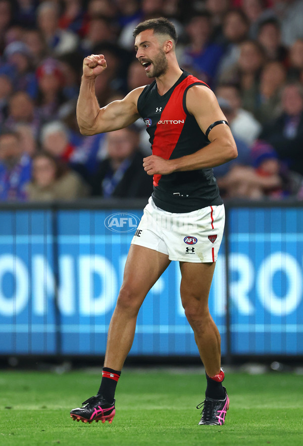 AFL 2024 Round 05 - Western Bulldogs v Essendon - A-47154154