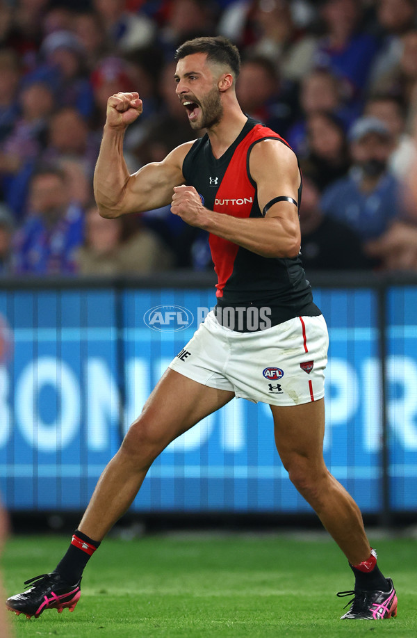 AFL 2024 Round 05 - Western Bulldogs v Essendon - A-47154169