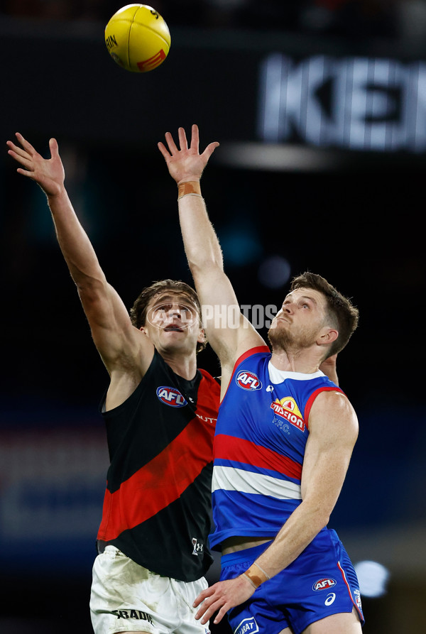 AFL 2024 Round 05 - Western Bulldogs v Essendon - A-47155688