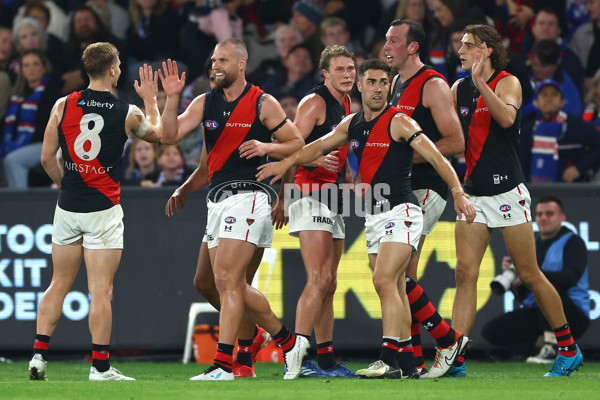 AFL 2024 Round 05 - Western Bulldogs v Essendon - A-47155706