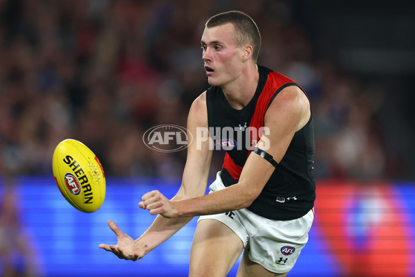 AFL 2024 Round 05 - Western Bulldogs v Essendon - A-47155725