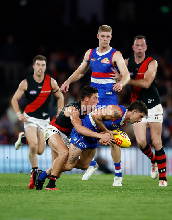 AFL 2024 Round 05 - Western Bulldogs v Essendon - A-47158515