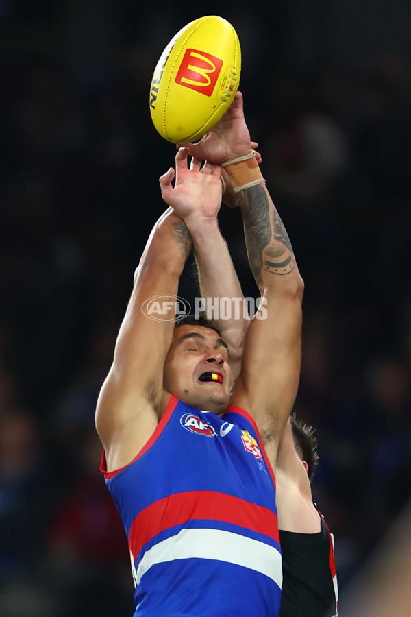 AFL 2024 Round 05 - Western Bulldogs v Essendon - A-47160462