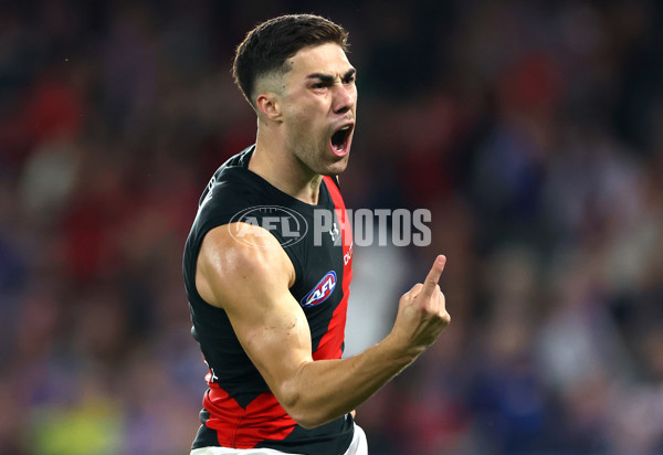 AFL 2024 Round 05 - Western Bulldogs v Essendon - A-47160495