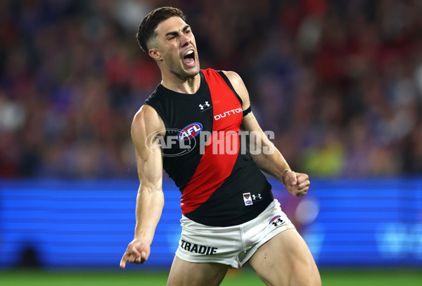 AFL 2024 Round 05 - Western Bulldogs v Essendon - A-47160500