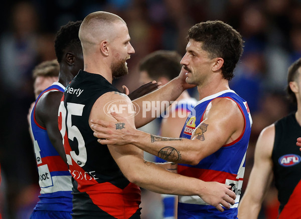 AFL 2024 Round 05 - Western Bulldogs v Essendon - A-47160525