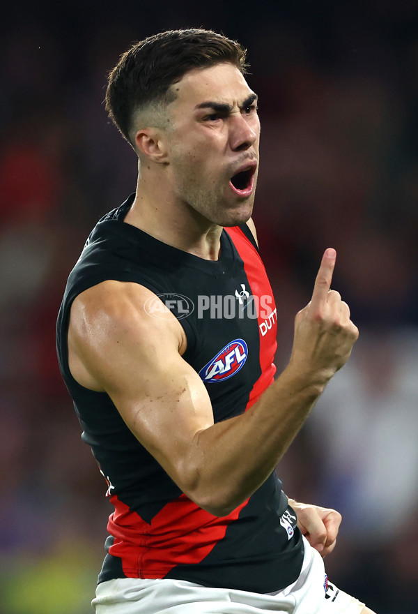 AFL 2024 Round 05 - Western Bulldogs v Essendon - A-47161483