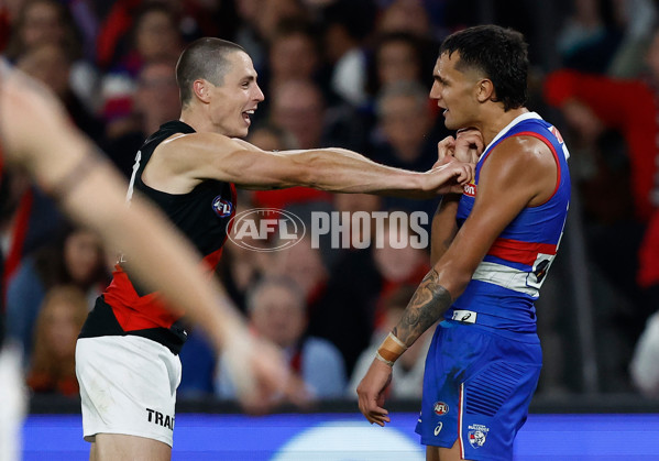 AFL 2024 Round 05 - Western Bulldogs v Essendon - A-47161487