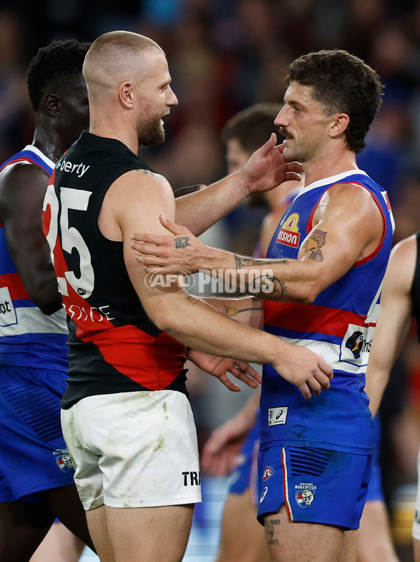 AFL 2024 Round 05 - Western Bulldogs v Essendon - A-47161531