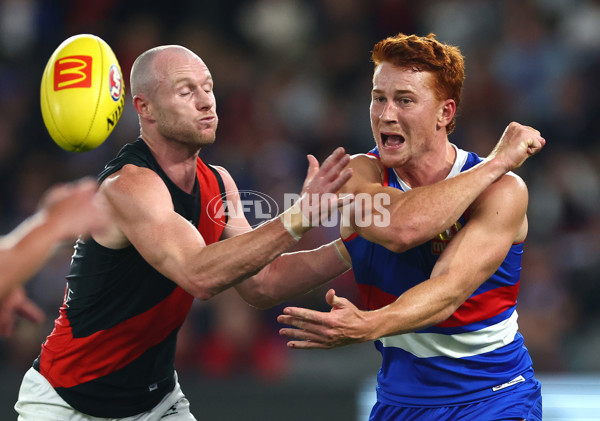 AFL 2024 Round 05 - Western Bulldogs v Essendon - A-47163483