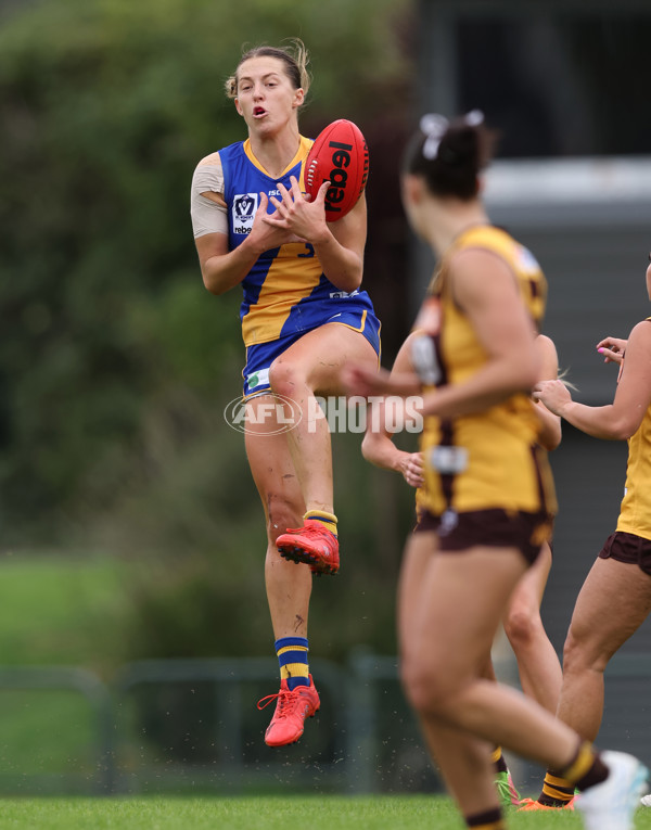 VFLW 2024 Round 04 - Box Hill Hawks v Williamstown - A-47163512