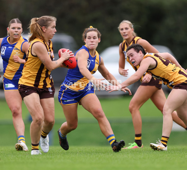 VFLW 2024 Round 04 - Box Hill Hawks v Williamstown - A-47163514