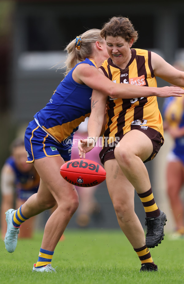 VFLW 2024 Round 04 - Box Hill Hawks v Williamstown - A-47163515