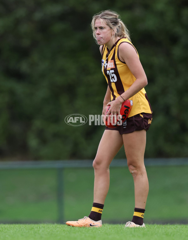 VFLW 2024 Round 04 - Box Hill Hawks v Williamstown - A-47163726