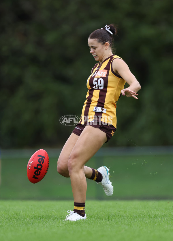 VFLW 2024 Round 04 - Box Hill Hawks v Williamstown - A-47163727