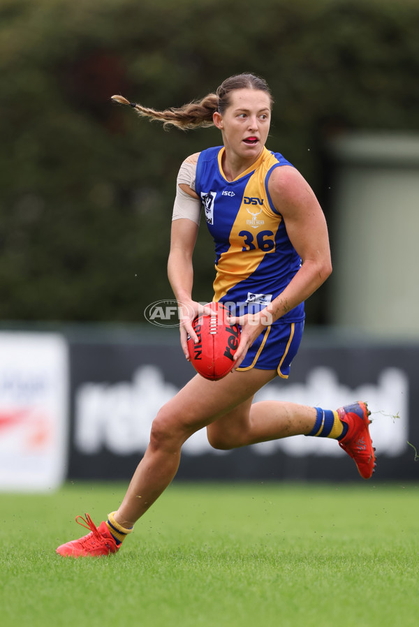 VFLW 2024 Round 04 - Box Hill Hawks v Williamstown - A-47163728