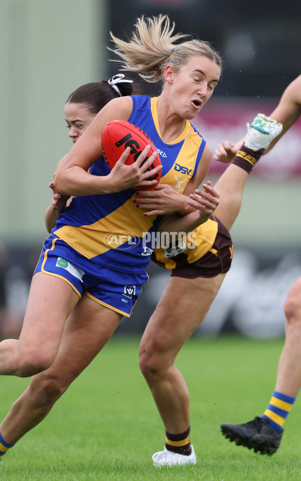 VFLW 2024 Round 04 - Box Hill Hawks v Williamstown - A-47168621