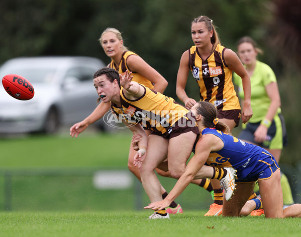 VFLW 2024 Round 04 - Box Hill Hawks v Williamstown - A-47168622