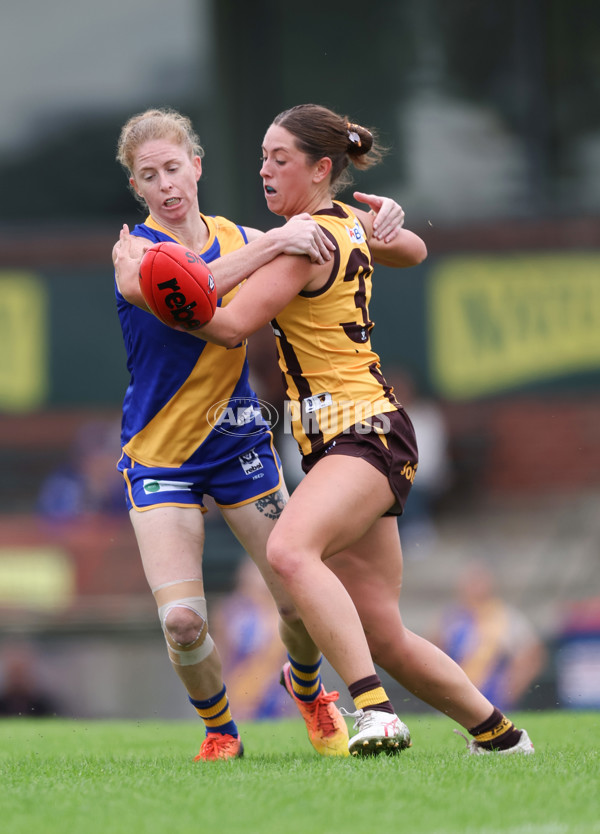 VFLW 2024 Round 04 - Box Hill Hawks v Williamstown - A-47168920