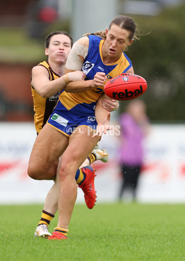 VFLW 2024 Round 04 - Box Hill Hawks v Williamstown - A-47168922