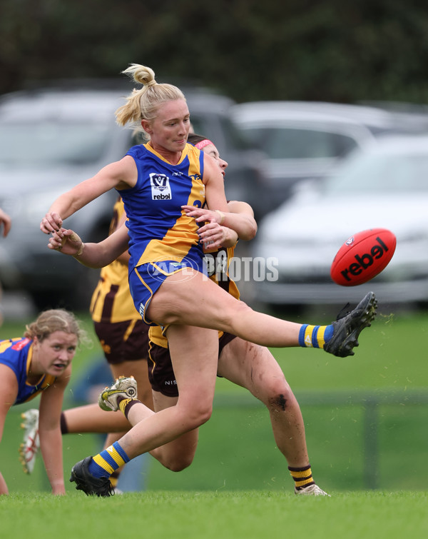 VFLW 2024 Round 04 - Box Hill Hawks v Williamstown - A-47171399