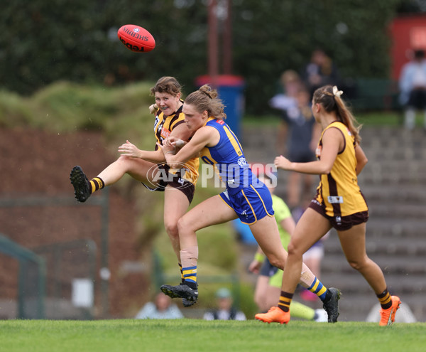 VFLW 2024 Round 04 - Box Hill Hawks v Williamstown - A-47171401