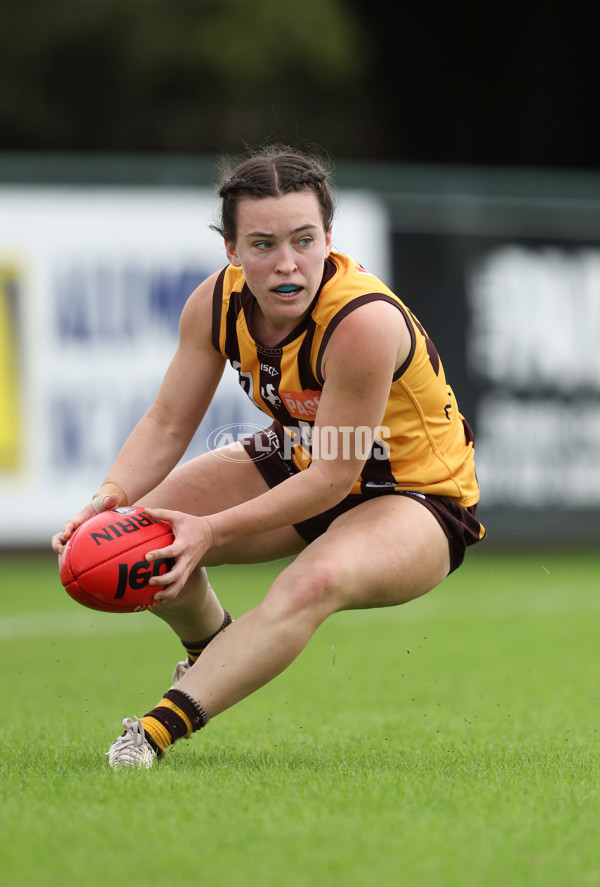 VFLW 2024 Round 04 - Box Hill Hawks v Williamstown - A-47174445