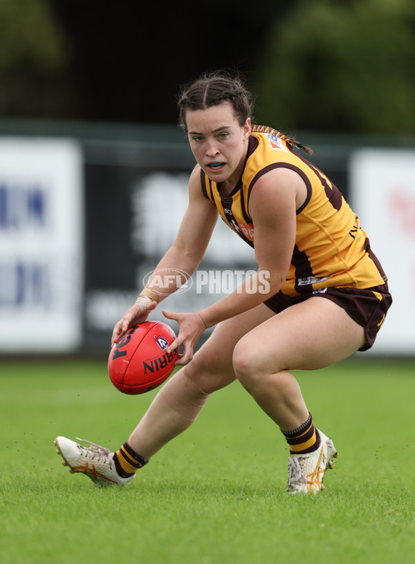 VFLW 2024 Round 04 - Box Hill Hawks v Williamstown - A-47174446