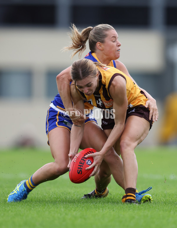 VFLW 2024 Round 04 - Box Hill Hawks v Williamstown - A-47174451