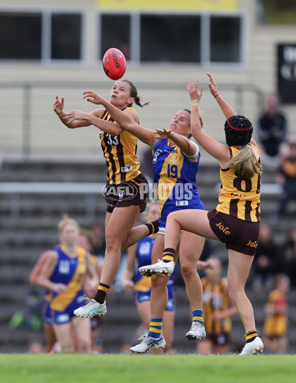 VFLW 2024 Round 04 - Box Hill Hawks v Williamstown - A-47174626