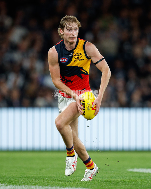 AFL 2024 Round 05 - Carlton v Adelaide - A-47179927
