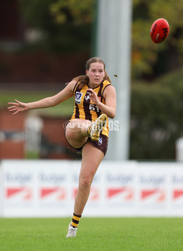 VFLW 2024 Round 04 - Box Hill Hawks v Williamstown - A-47182302