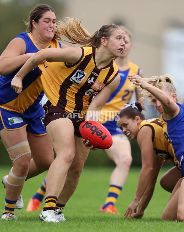 VFLW 2024 Round 04 - Box Hill Hawks v Williamstown - A-47182303