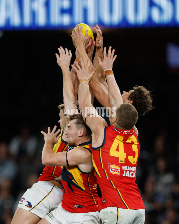 AFL 2024 Round 05 - Carlton v Adelaide - A-47182311