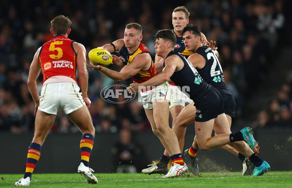 AFL 2024 Round 05 - Carlton v Adelaide - A-47182330